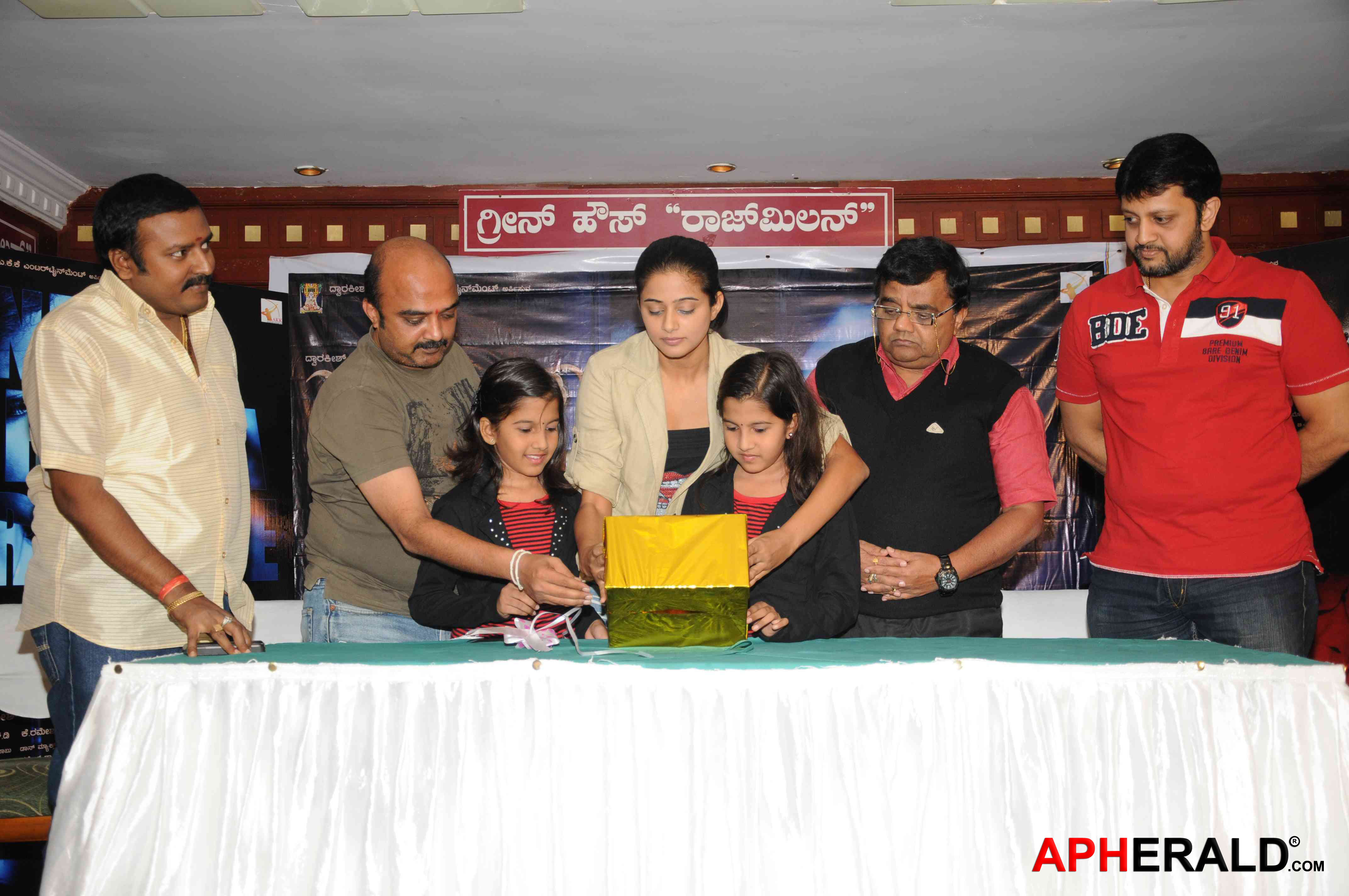 Charulatha Tellugu Movie Audio Release - Priyamani