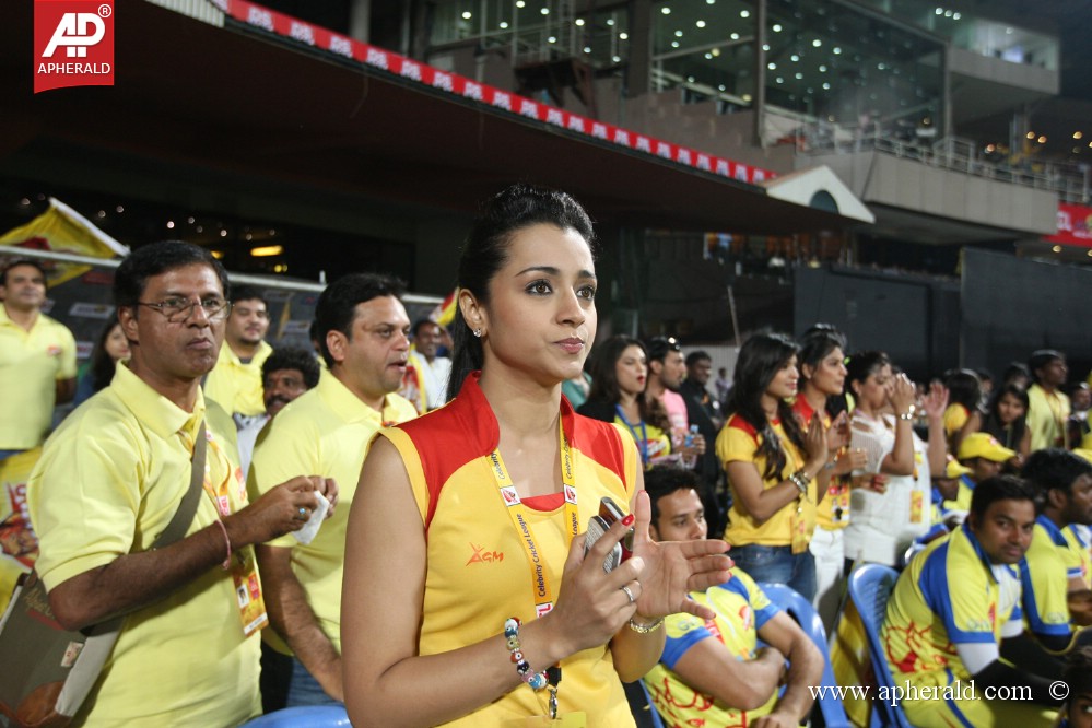 Chennai Rhinos Vs Karnataka Bulldozers Match 