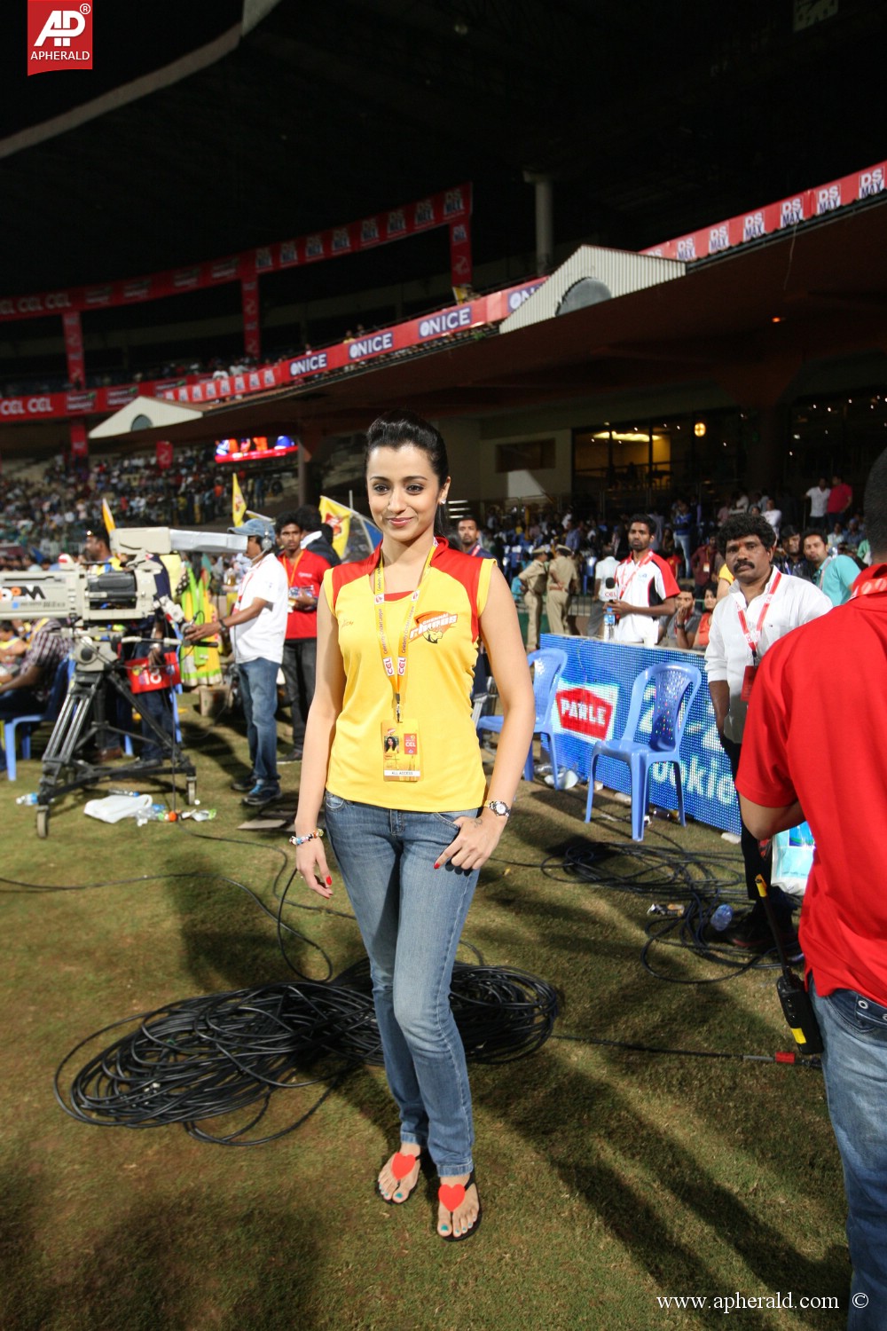 Chennai Rhinos Vs Karnataka Bulldozers Match 