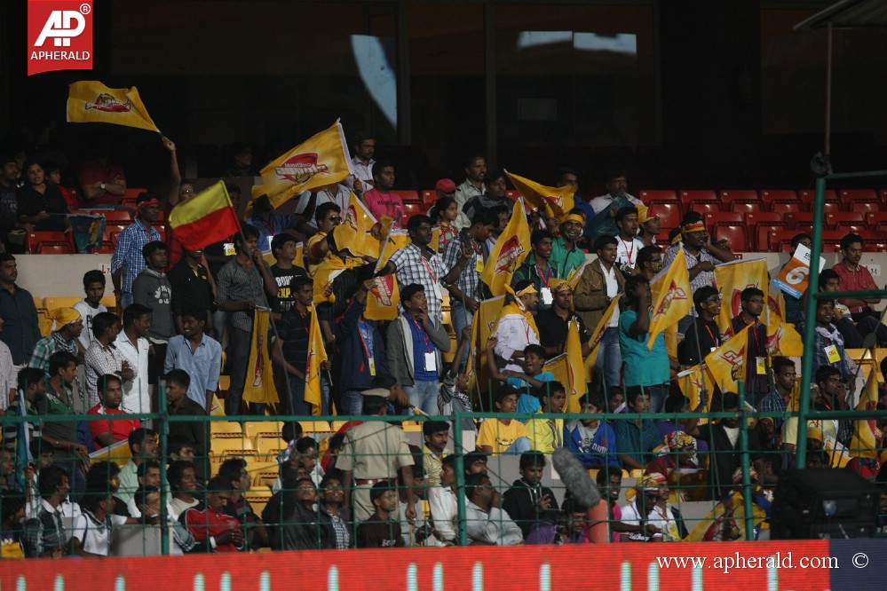 Chennai Rhinos Vs Karnataka Bulldozers Match 