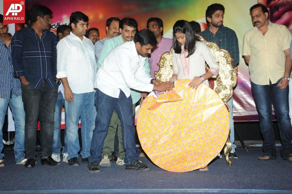 Chitram Cheppina Katha Audio Launch Pics