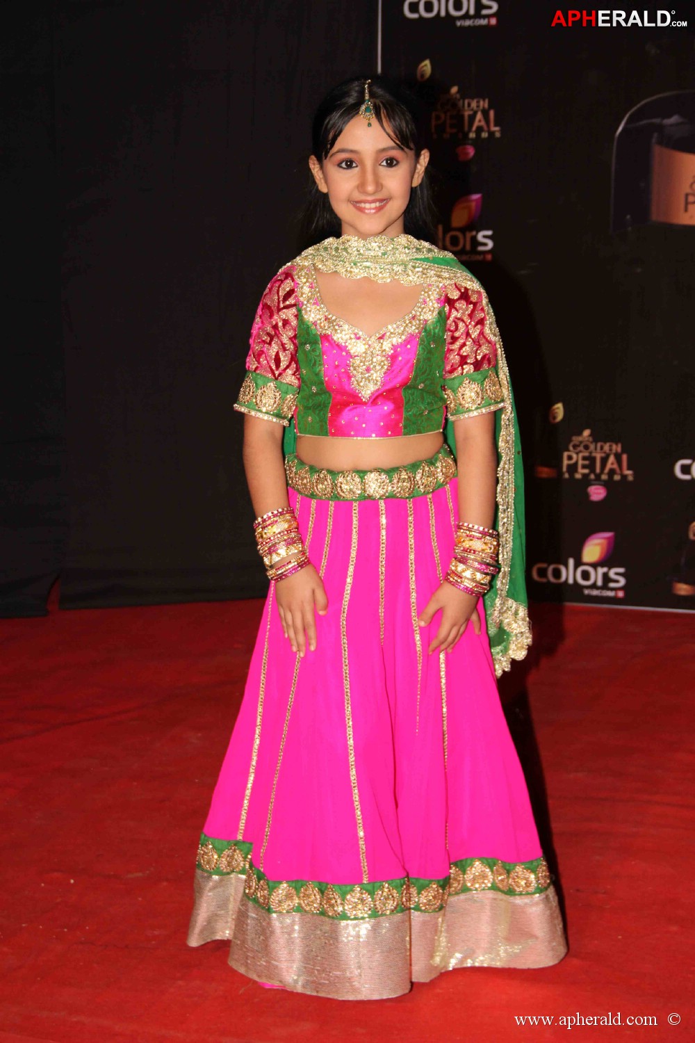 Colors Tv 3rd Golden Petal Awards 2013