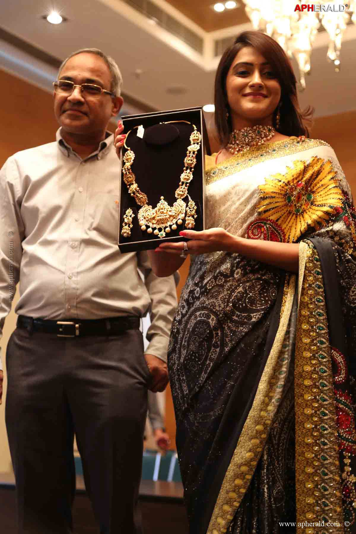 Curtain Raiser Event of Jewels of Asia