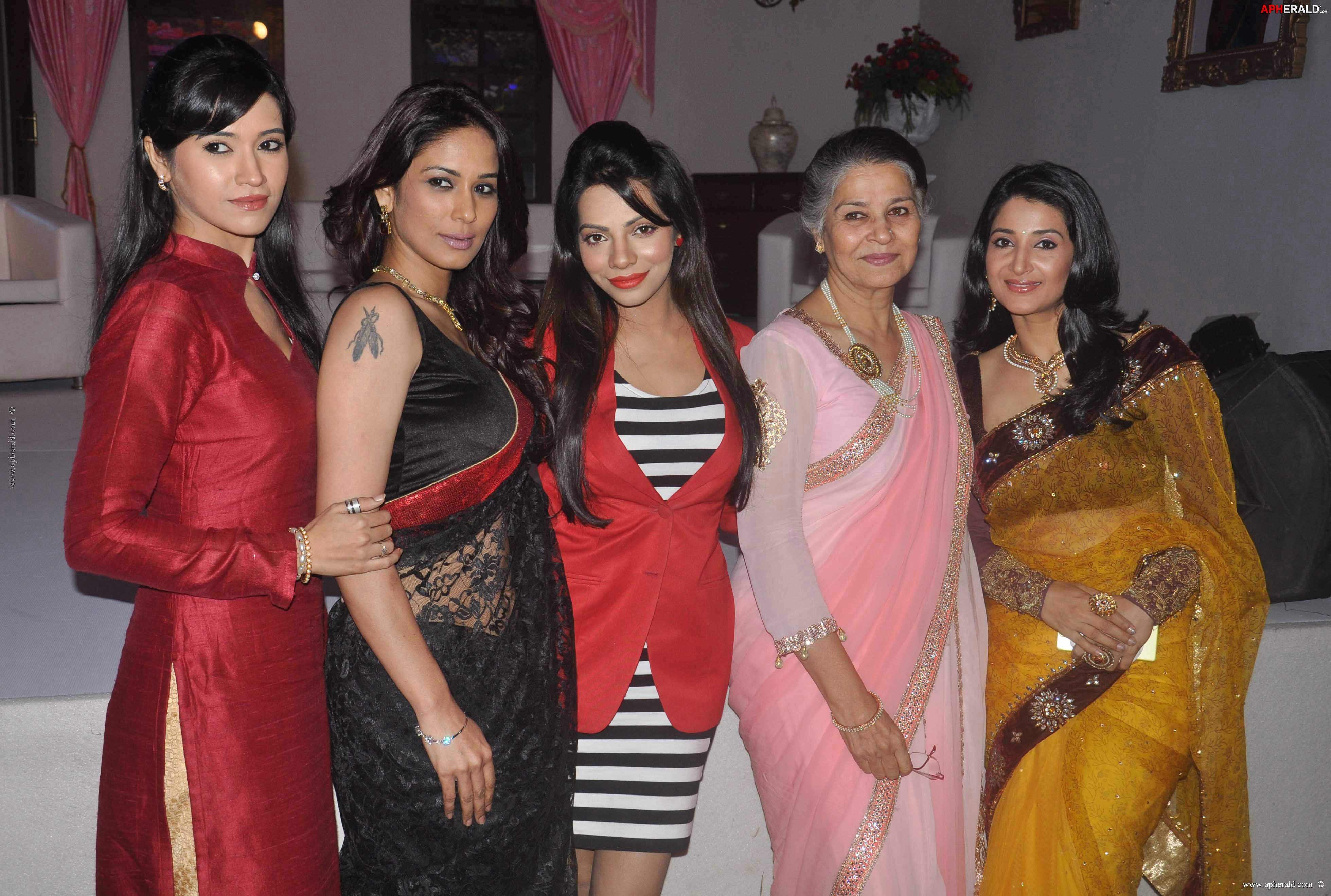 Desh Ki Beti Nandini Serial Press Meet