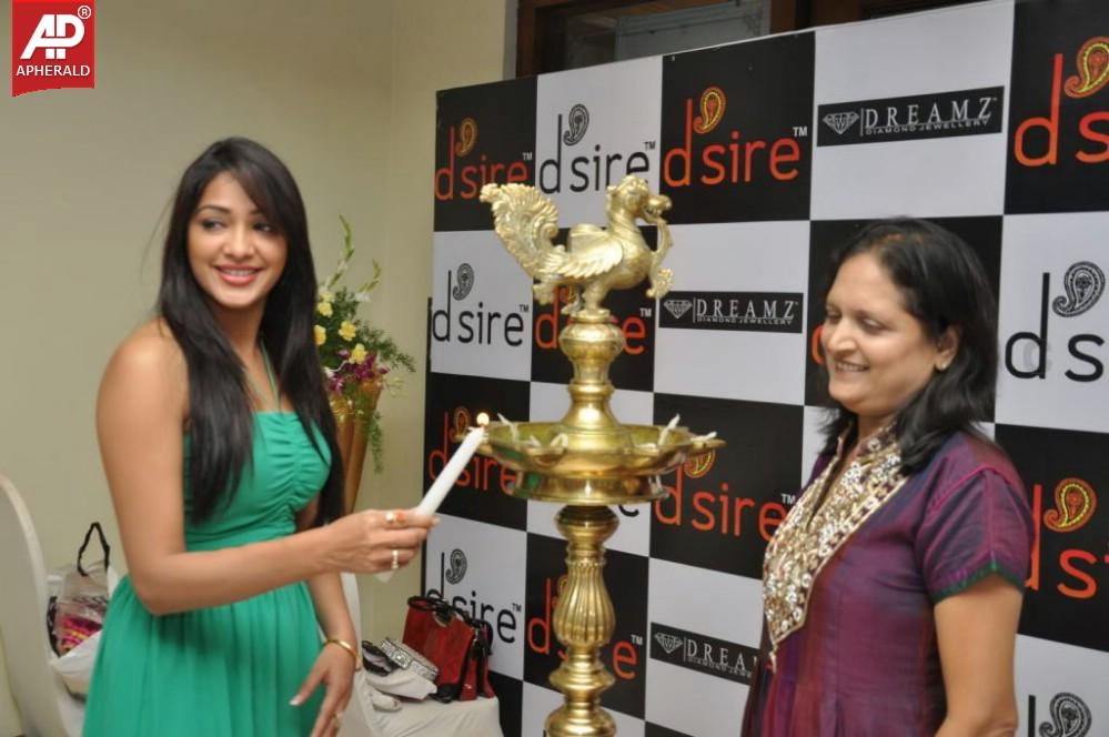 Desire Designer Exhibition Launch