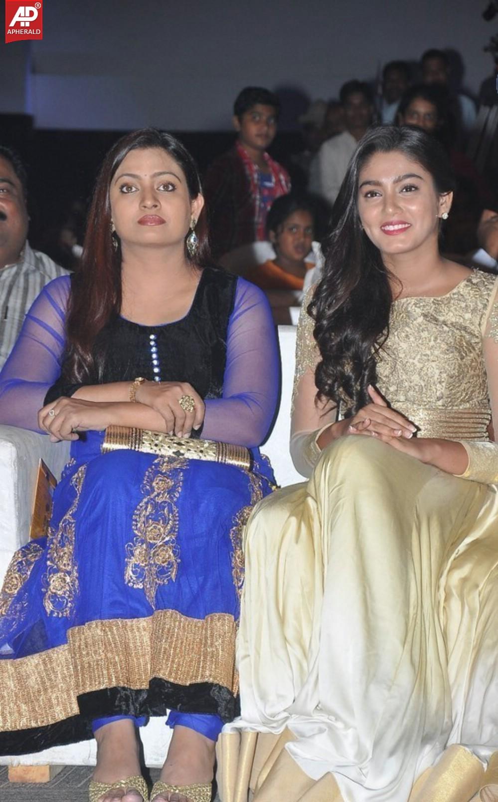 Dikkulu Chudaku Ramayya Audio Launch Pics