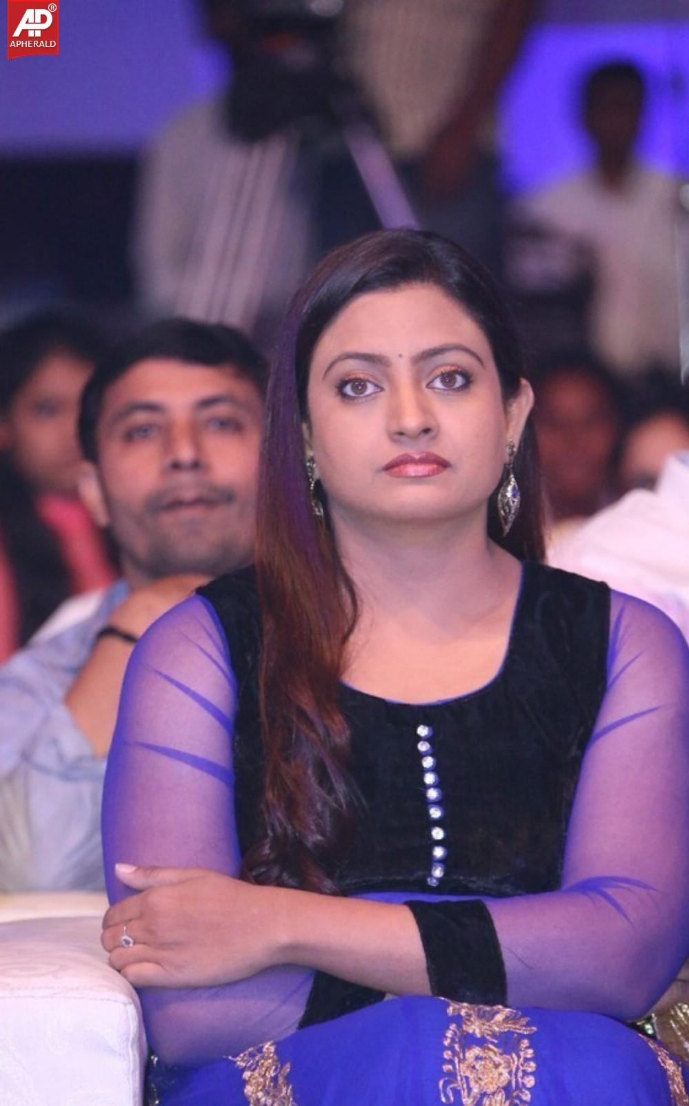 Dikkulu Chudaku Ramayya Audio Launch Pics