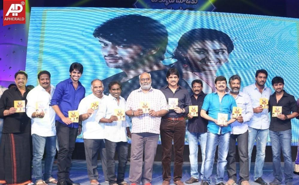 Dikkulu Chudaku Ramayya Audio Launch Pics