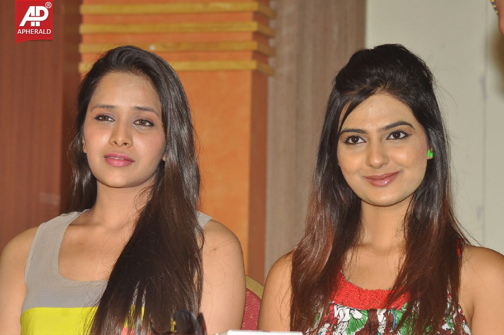Dil Deewana Movie Press Meet