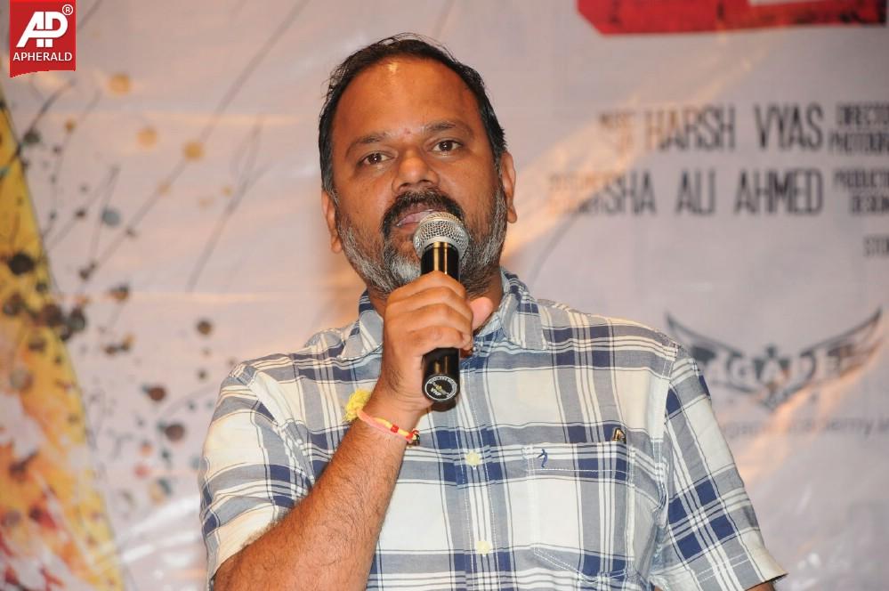 Director Movie Audio Launch