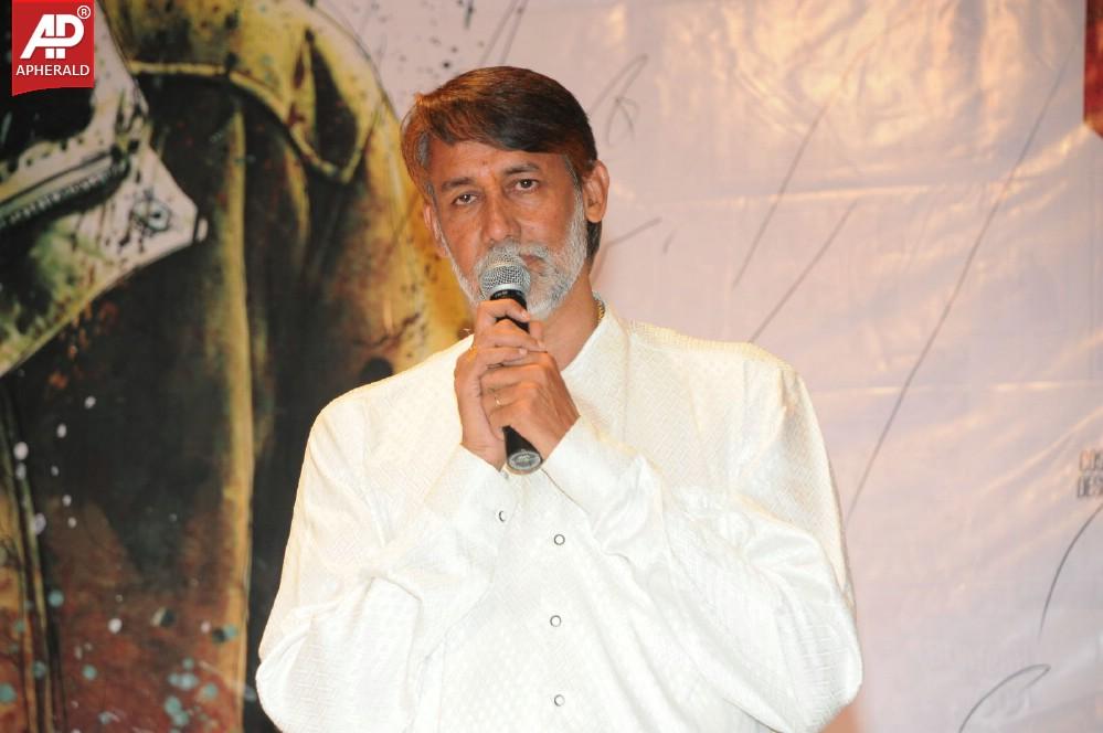 Director Movie Audio Launch