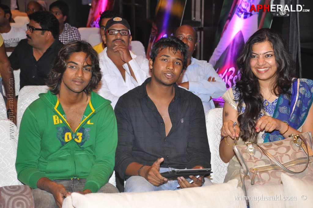 Doosukeltha Movie Audio Launch 1