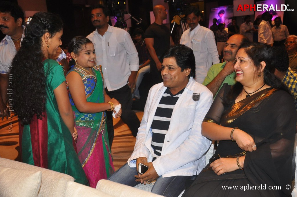 Doosukeltha Movie Audio Launch 1