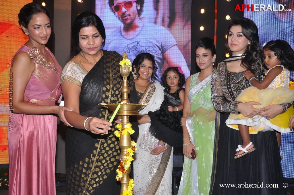 Doosukeltha Movie Audio Launch 3