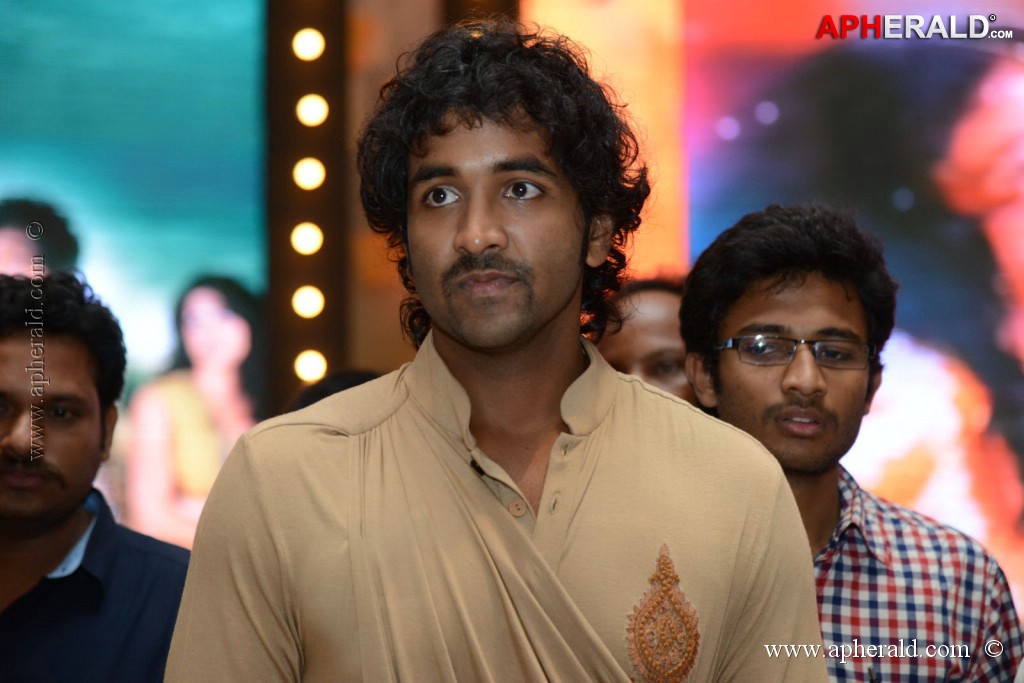 Doosukeltha Movie Audio Launch 3