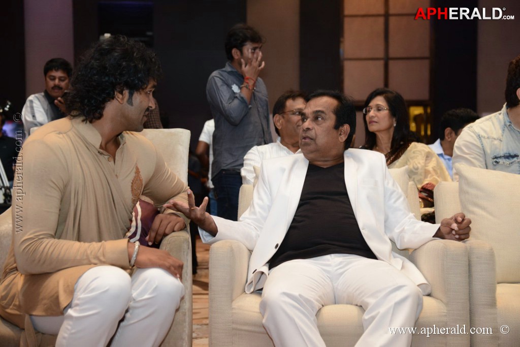 Doosukeltha Movie Audio Launch 3