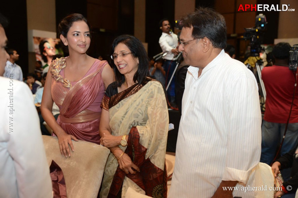 Doosukeltha Movie Audio Launch 3