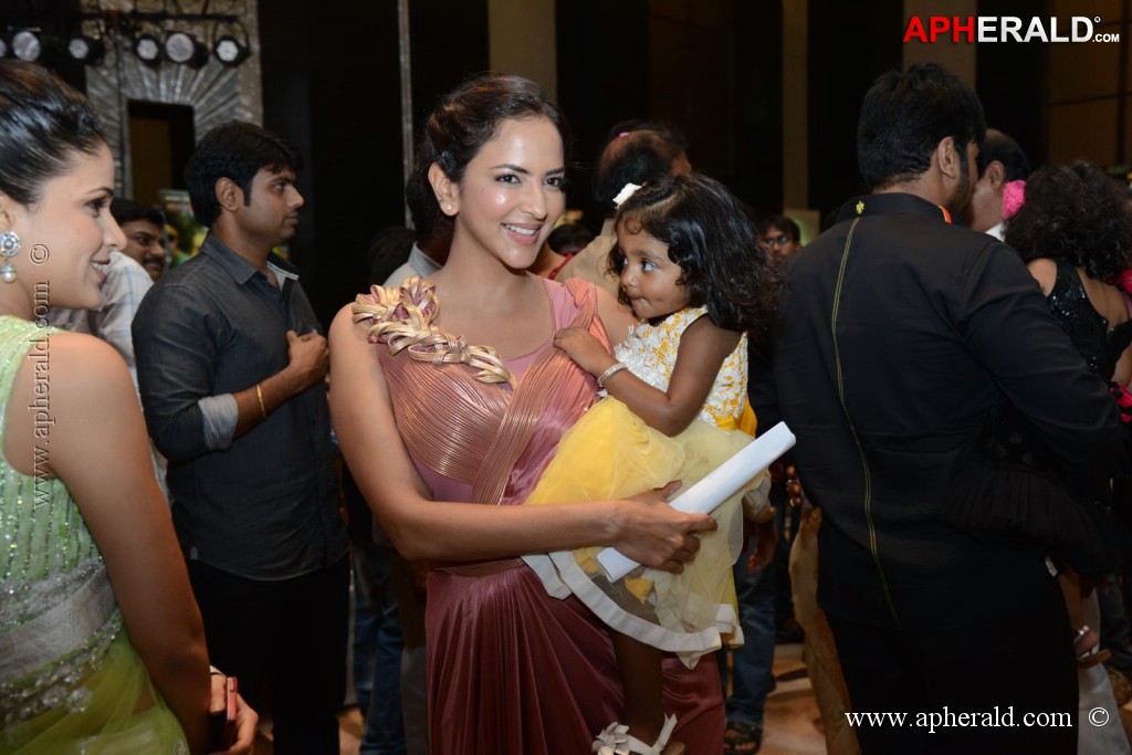 Doosukeltha Movie Audio Launch 3