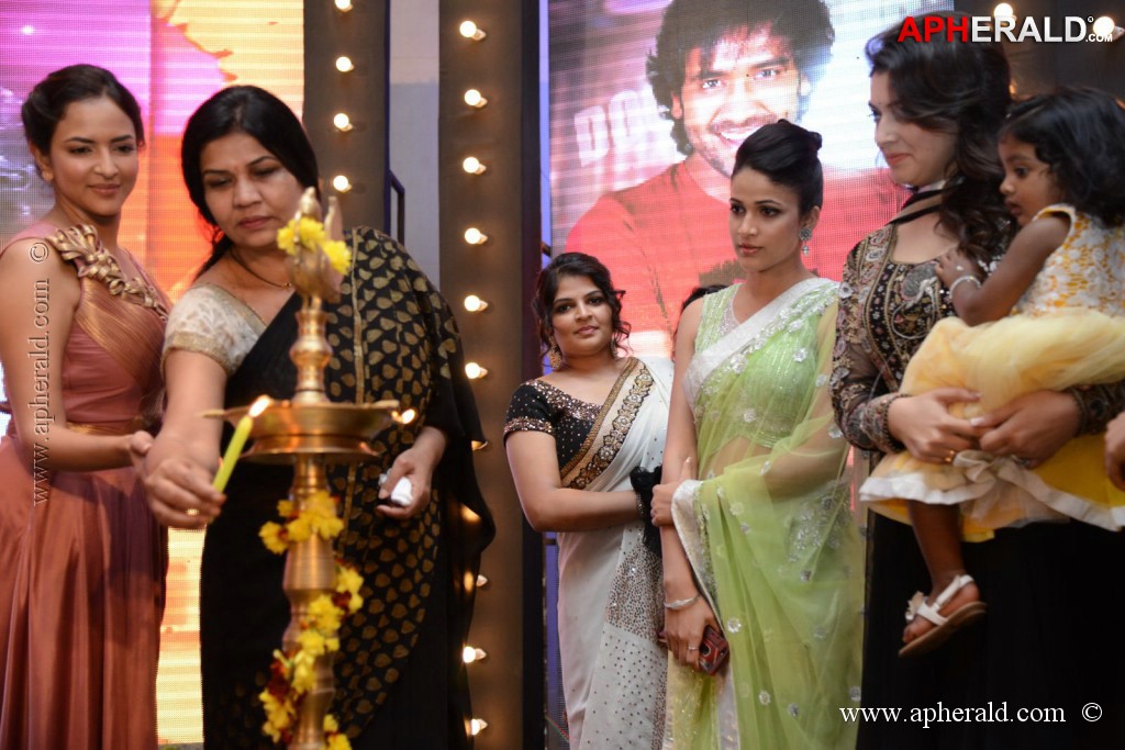 Doosukeltha Movie Audio Launch 3