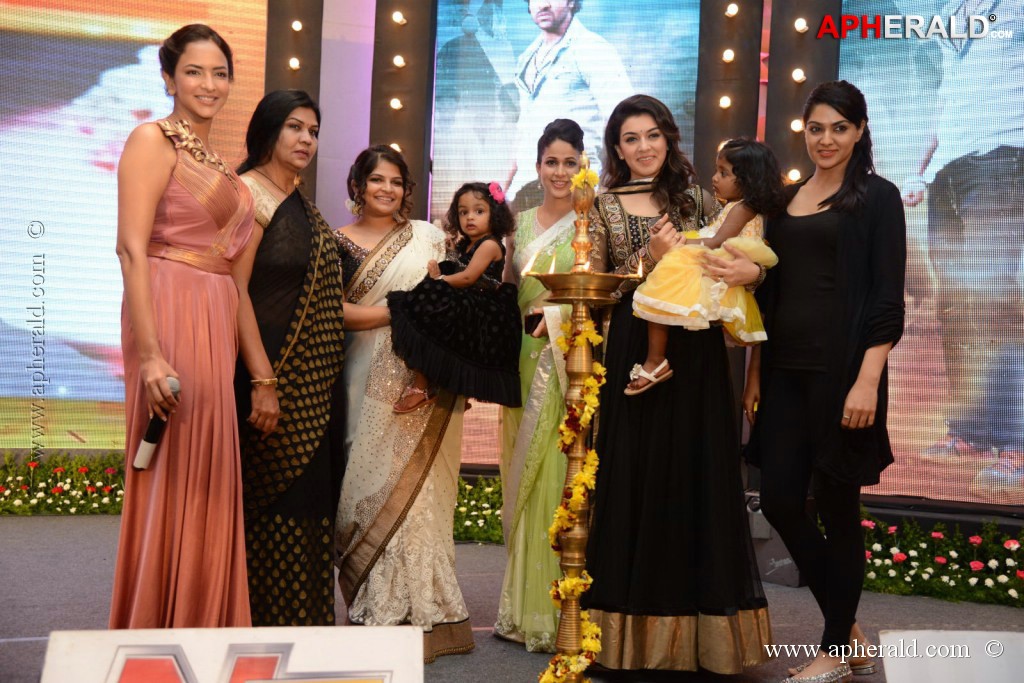 Doosukeltha Movie Audio Launch 3
