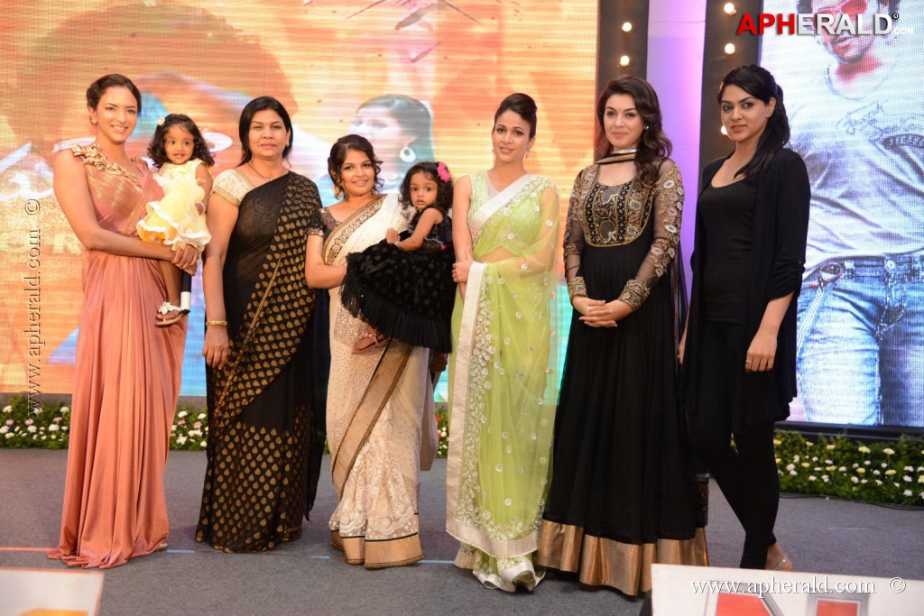 Doosukeltha Movie Audio Launch 3
