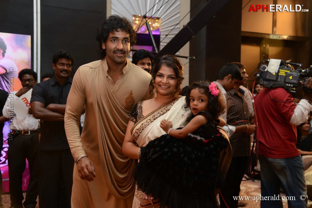 Doosukeltha Movie Audio Launch 3