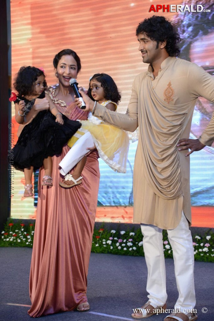Doosukeltha Movie Audio Launch 3