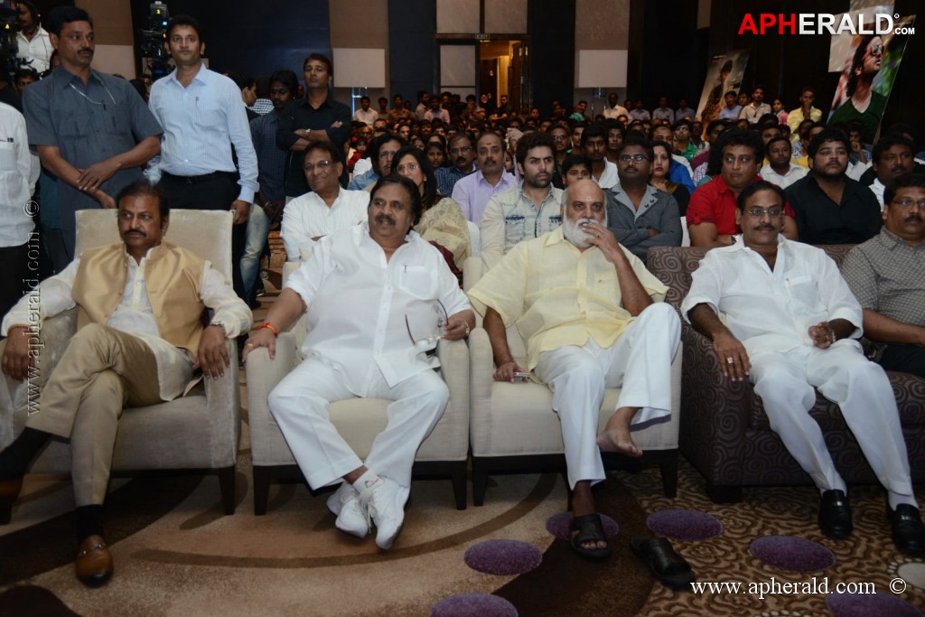 Doosukeltha Movie Audio Launch 3