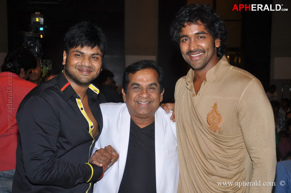 Doosukeltha Movie Audio Launch 3