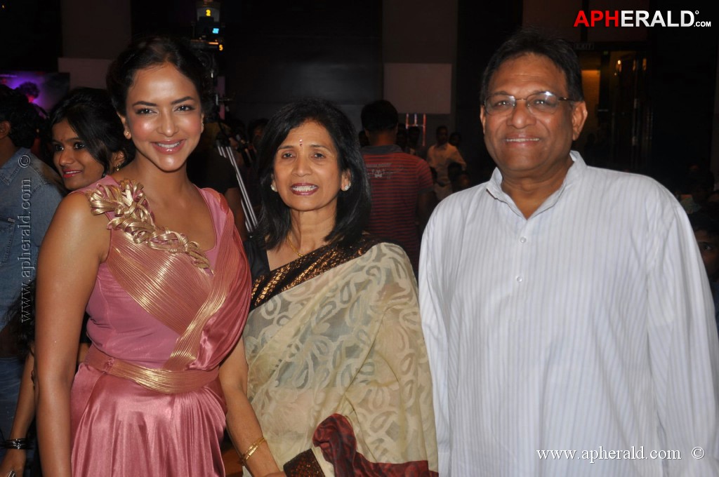 Doosukeltha Movie Audio Launch 3