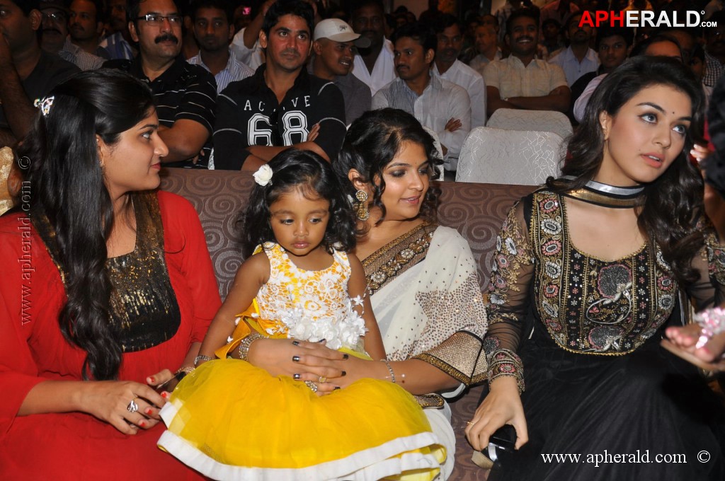 Doosukeltha Movie Audio Launch 3