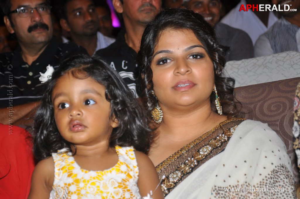Doosukeltha Movie Audio Launch 3