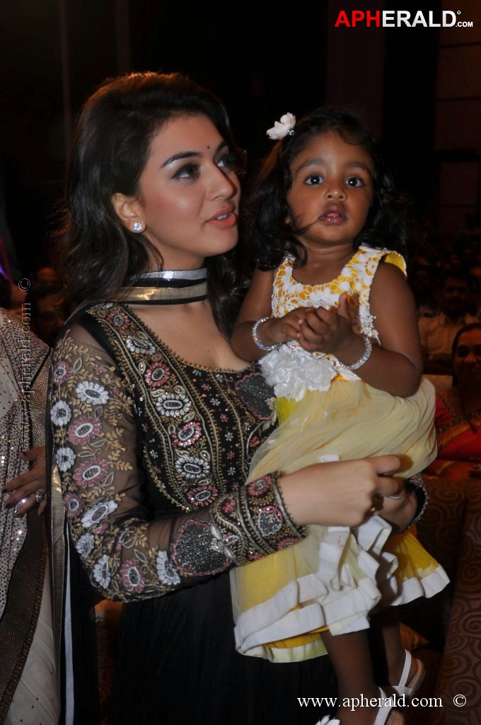Doosukeltha Movie Audio Launch 3