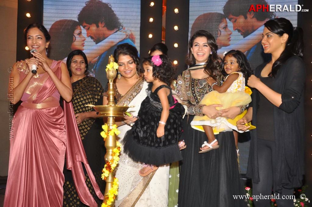 Doosukeltha Movie Audio Launch 3