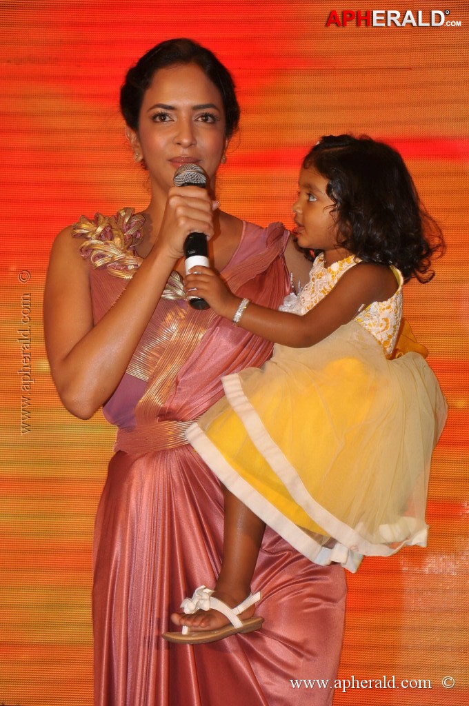 Doosukeltha Movie Audio Launch 3
