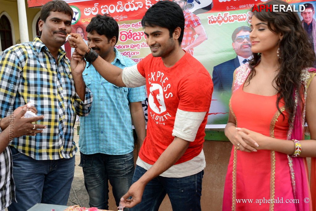 Fans Celebrates PKC 50 Days