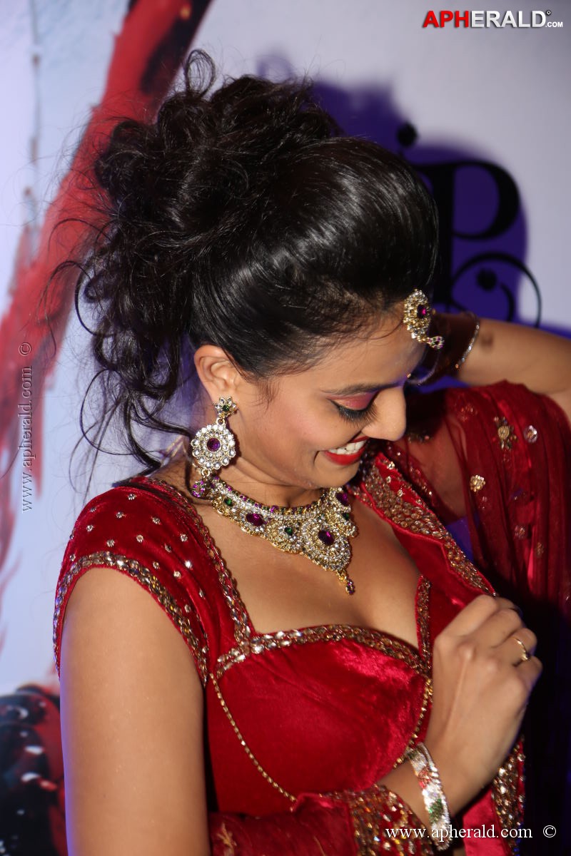 Fashionology Fashion Show Photos 1