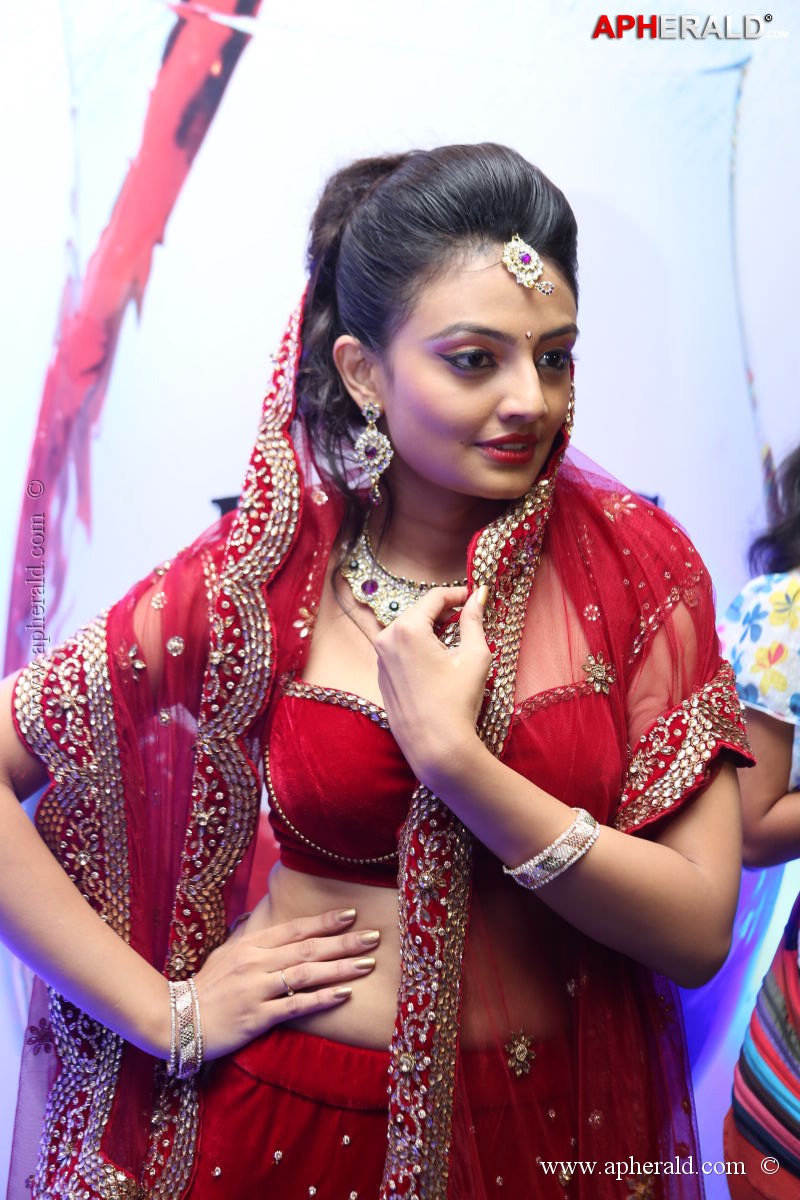 Fashionology Fashion Show Photos 1