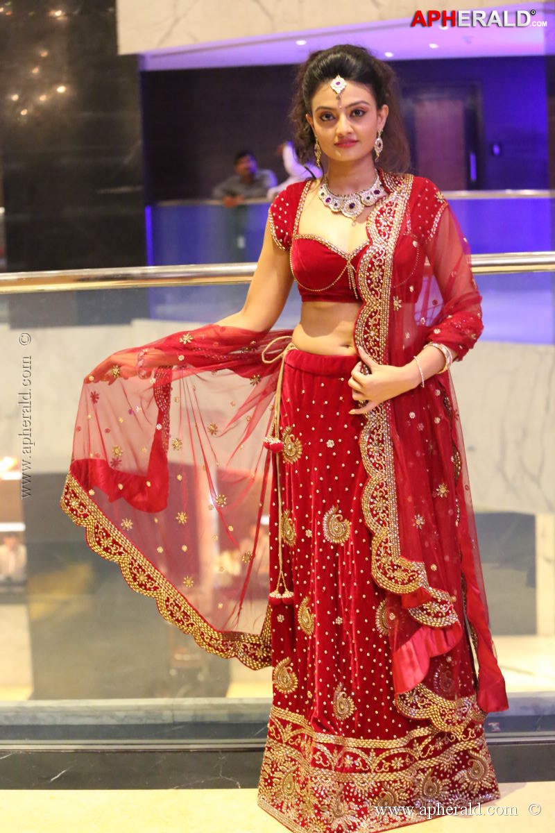 Fashionology Fashion Show Photos 1