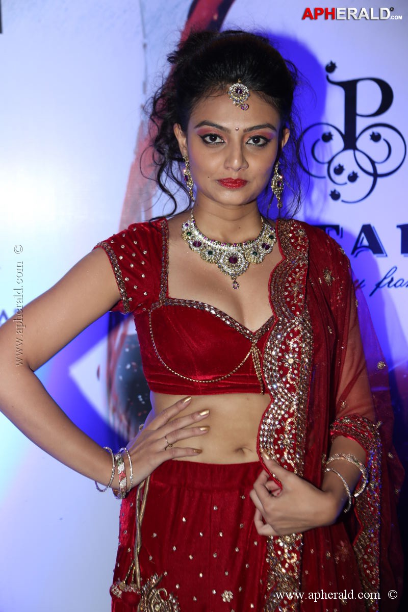 Fashionology Fashion Show Photos 1