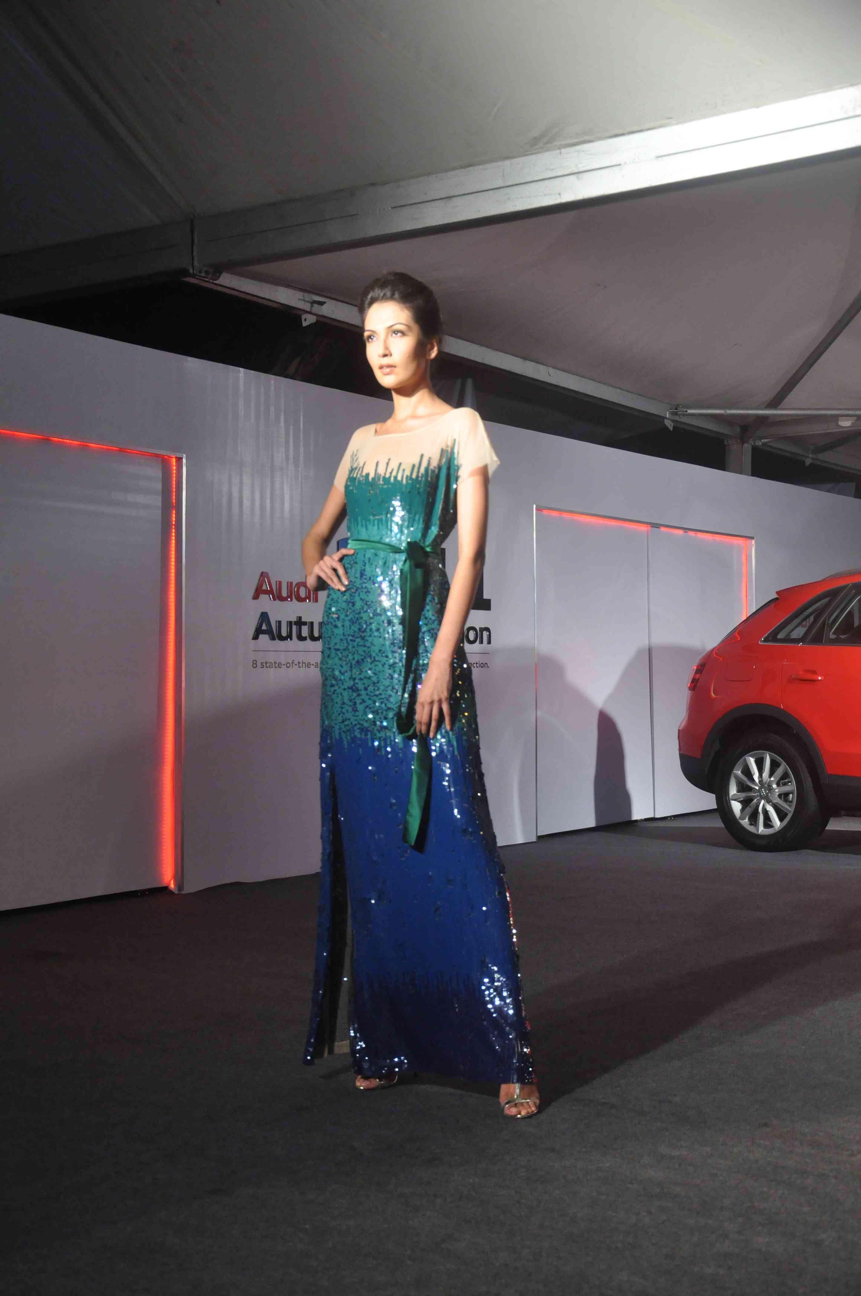 FDCI & Audi India's Winter Fashion Show