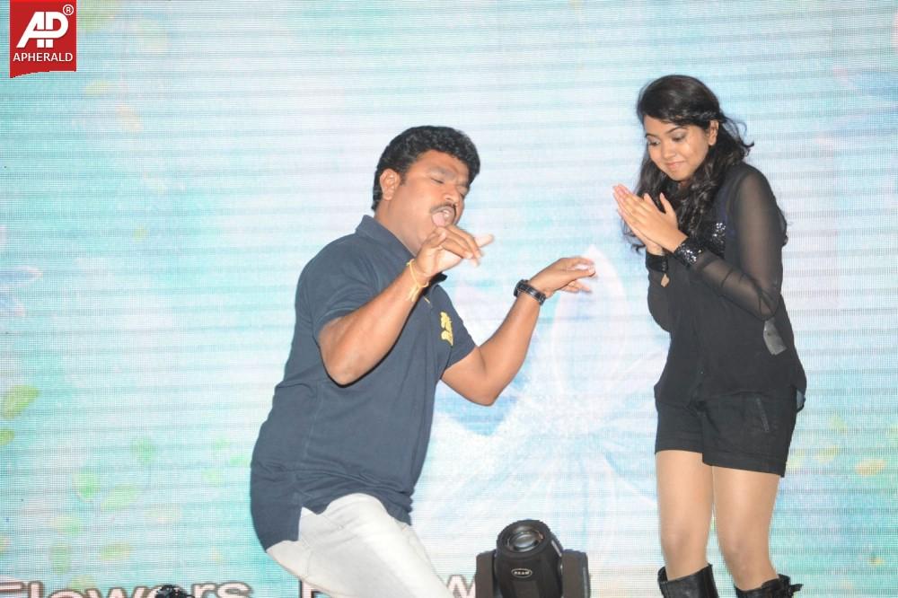 Gaddam Gang Audio Launch