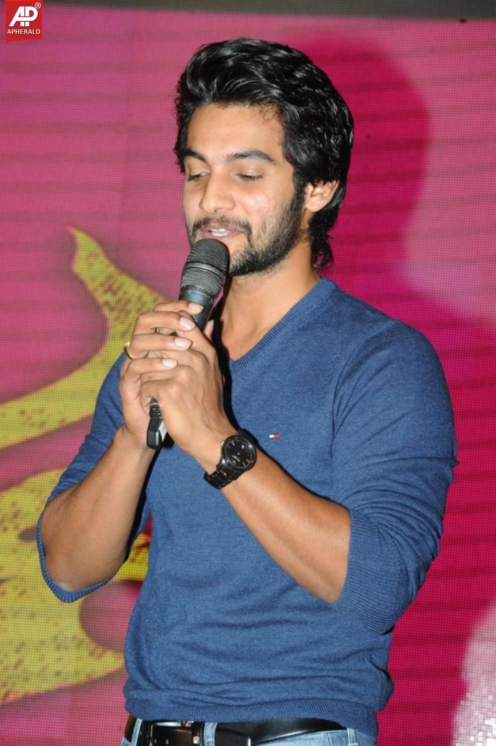 Gaddam Gang Audio Launch