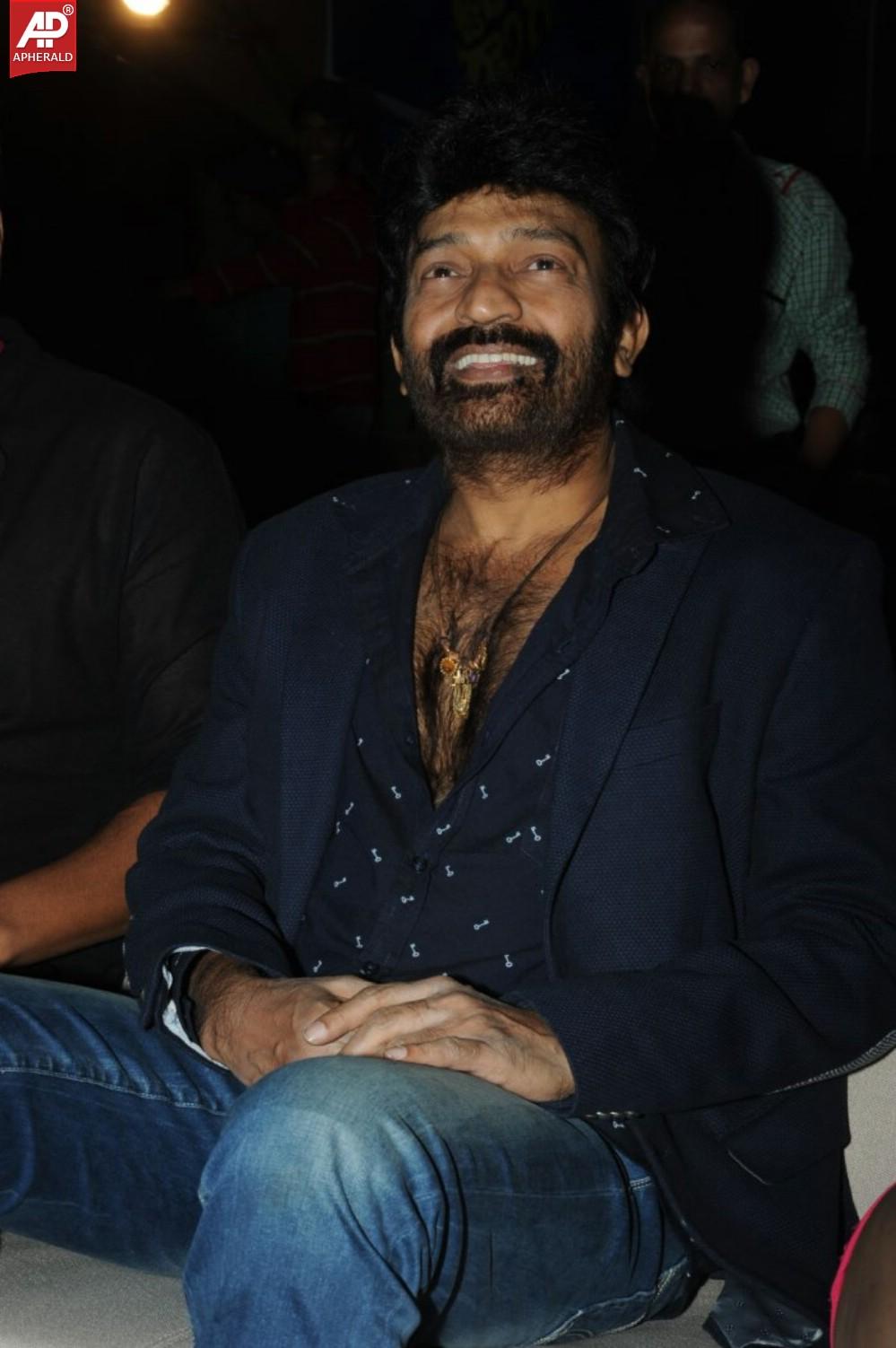 Gaddam Gang Audio Launch