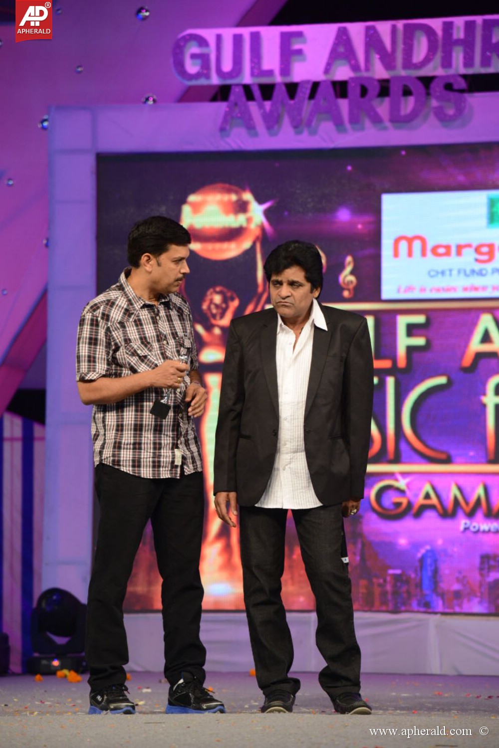 Gama Awards Function 2013 Photos