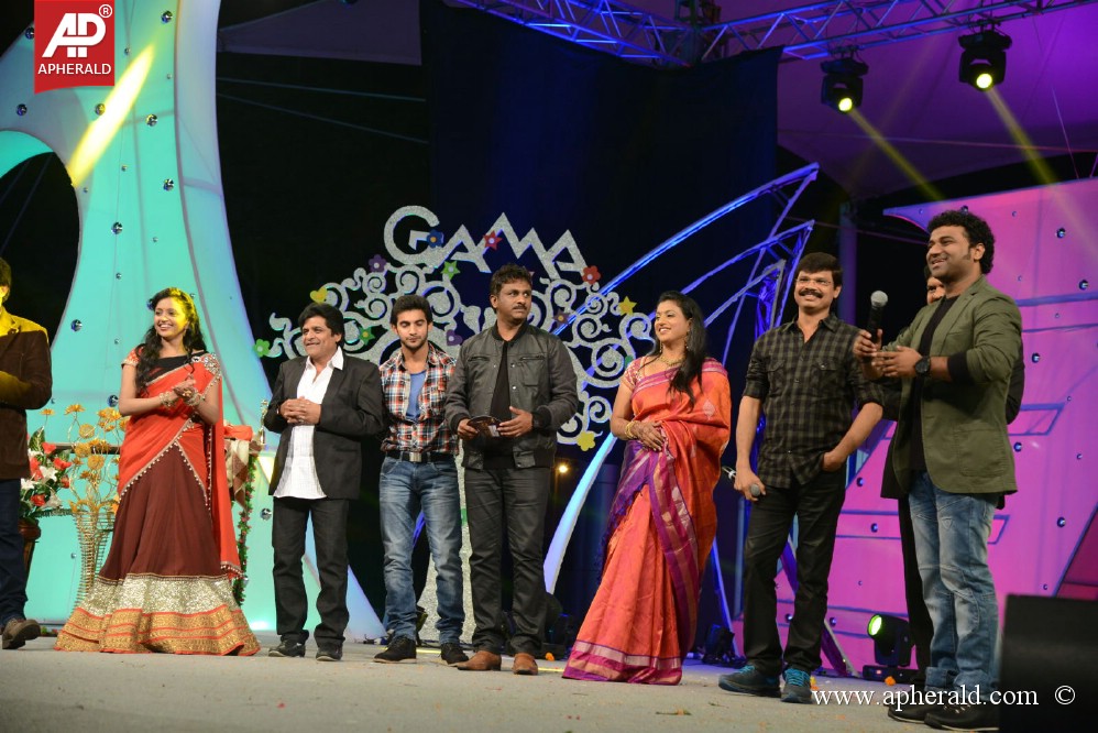 Gama Awards Function 2013 Photos