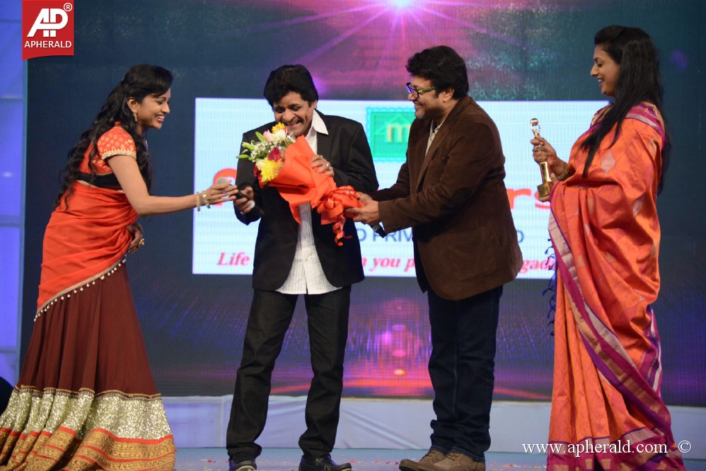 Gama Awards Function 2013 Photos