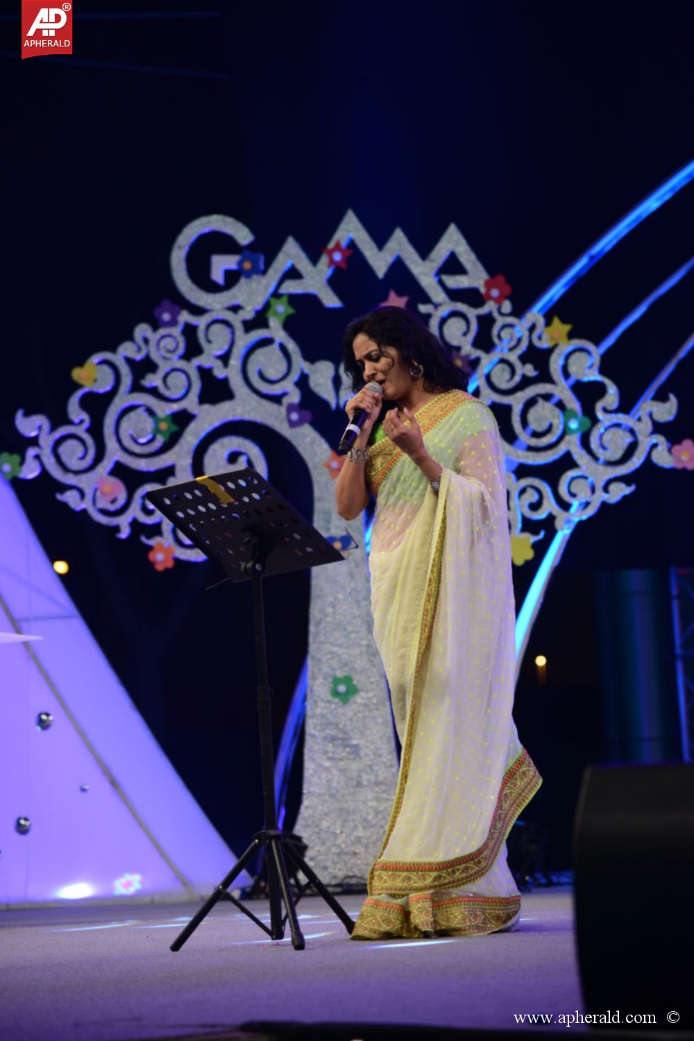 Gama Awards Function 2013