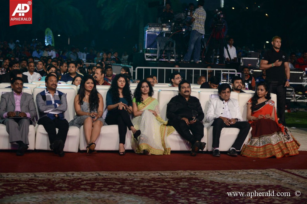 Gama Awards Function 2013