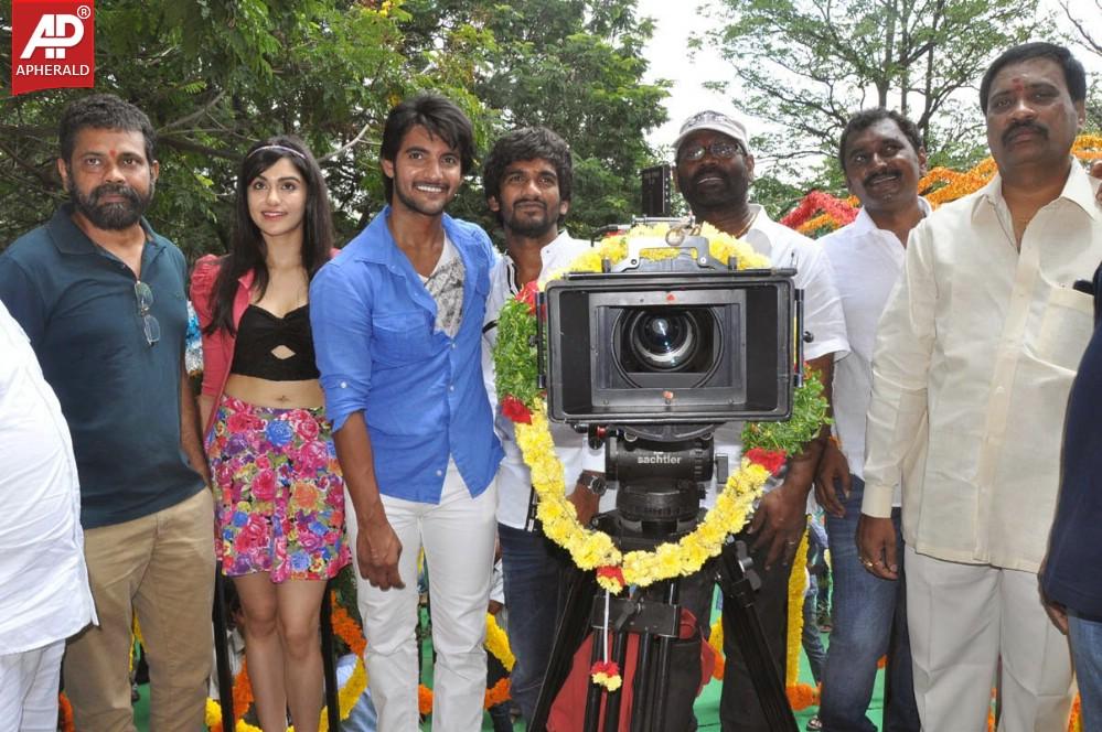 Garam Telugu Movie Opening